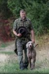 Weimaraner shorthaired