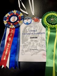 V�marsk� oha� kr�tkosrst� Grey Bay