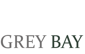 Grey Bay - weimaraner