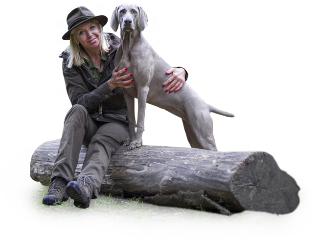 Weimaraner