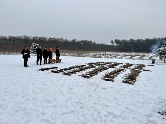 Vmarsk oha krtkosrst Grey Bay