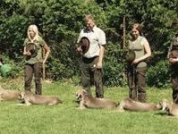 Weimaraner